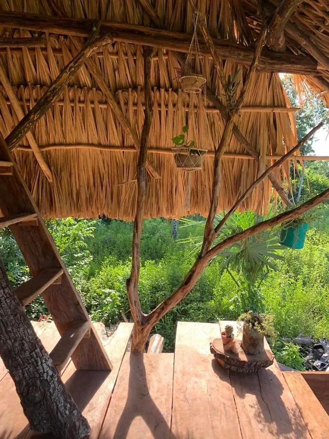 Campsite The Republic Of Corn Hotel Jose Maria Morelos